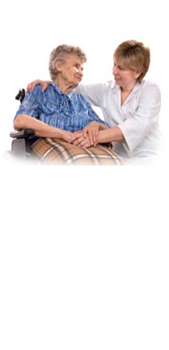 Physical Therapists